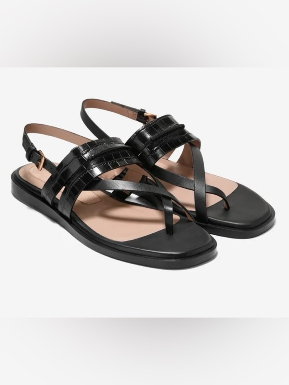 COLE HAAN Go to Estella Flat thong Sandal in black croc leather . Sz 7. NWT